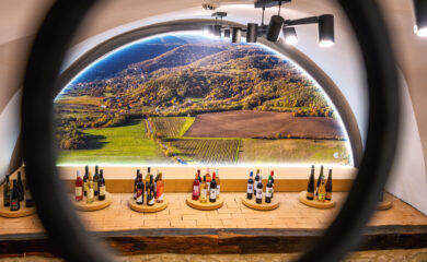 Expozícia Vinárstva na hrade Modrý kameň